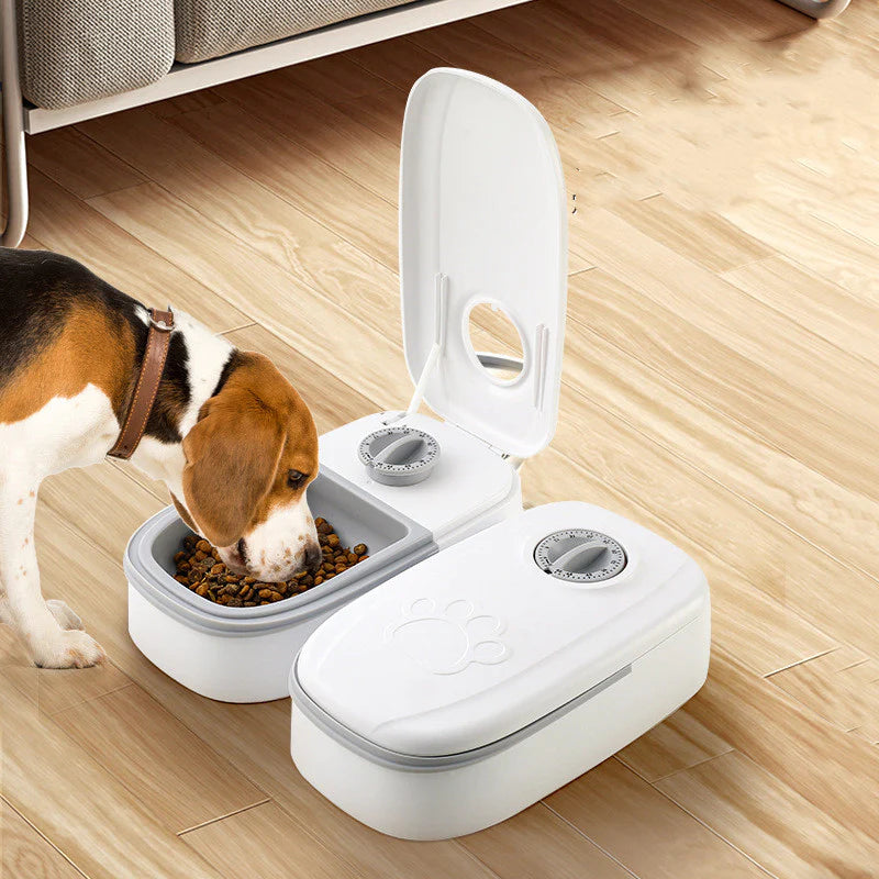 Automatic Pet Feeder Smart Food Dispenser for Cats Dogs Timer Stainless Steel Bowl Auto Dog Cat Pet Feeding Pets Supplies