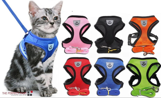 Cat Dog Pet Harness Adjustable Control Vest Dogs Reflective S M L XL Leash